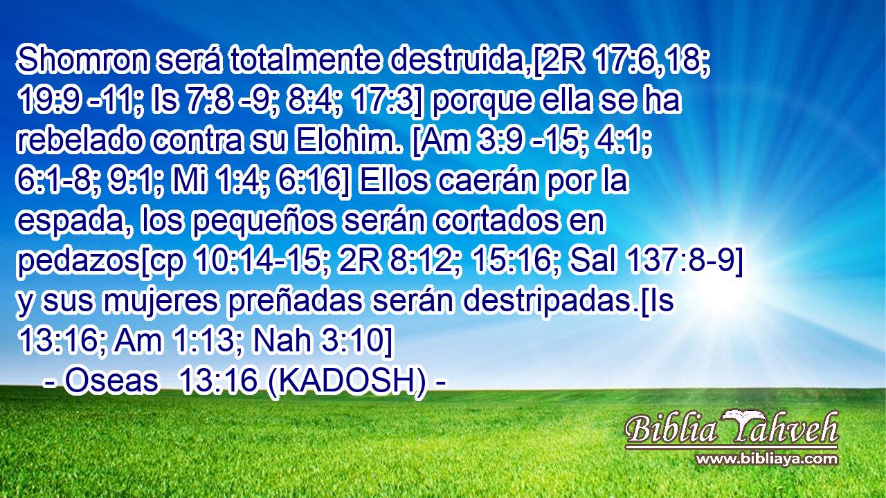  Shomron será totalmente destruida,[2R 17:6,18; 19:9 -11; Is 7:8 -9; 8:4; 17:3] porque ella se ha rebelado contra su Elohim. [Am 3:9 -15; 4:1; 6:1-8; 9:1; Mi 1:4; 6:16] Ellos caerán por la espada, los pequeños serán cortados en pedazos[cp 10:14-15; 2R 8:12; 15:16; Sal 137:8-9] y sus mujeres preñadas serán destripadas.[Is 13:16; Am 1:13; Nah 3:10] 