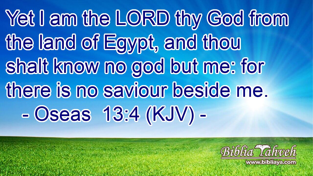 Yet I am the LORD thy God from the land of Egypt, and thou shalt know no god but me: for there is no saviour beside me.