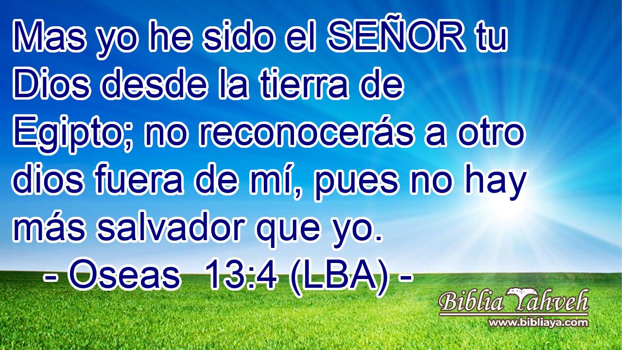 Mas yo he sido el SEÑOR tu Dios desde la tierra de Egipto; no reconocerás a otro dios fuera de mí, pues no hay más salvador que yo.