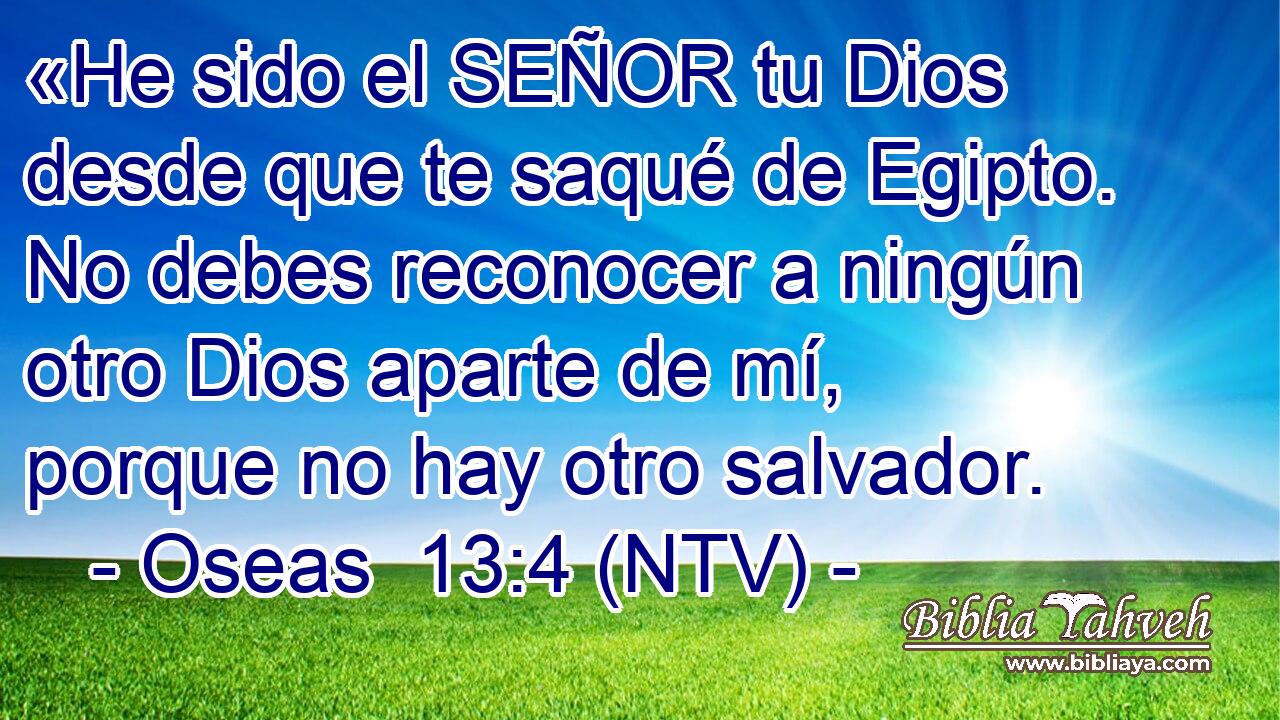 «He sido el SEÑOR tu Dios desde que te saqué de Egipto. No debes reconocer a ningún otro Dios aparte de mí, porque no hay otro salvador.