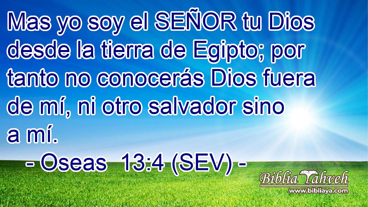 Mas yo soy el SEÑOR tu Dios desde la tierra de Egipto; por tanto no conocerás Dios fuera de mí, ni otro salvador sino a mí.