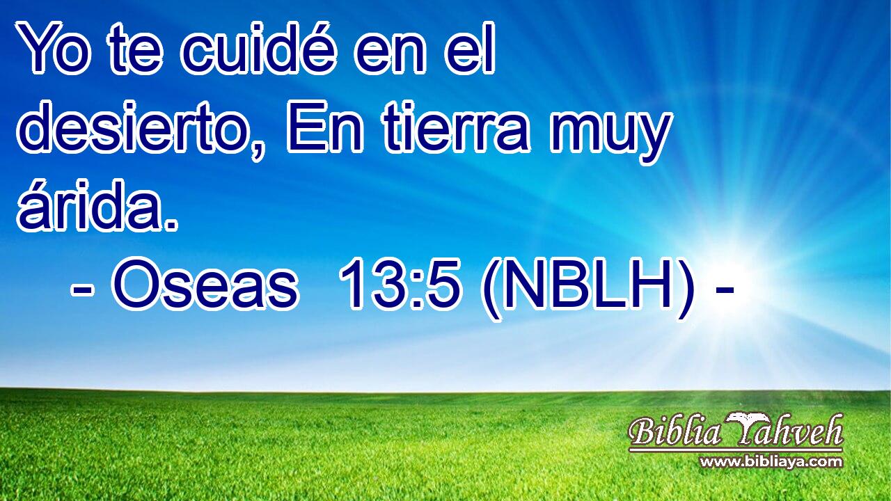  Yo te cuidé en el desierto, En tierra muy árida. 