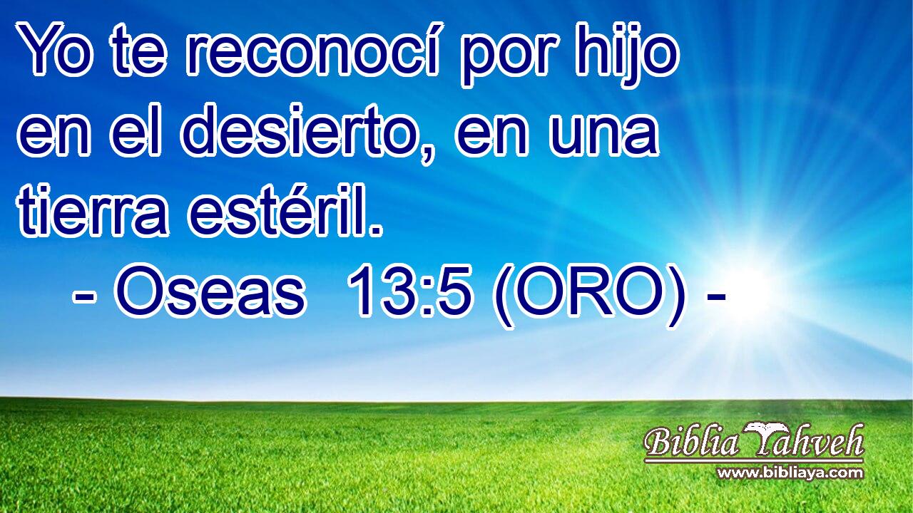  Yo te reconocí por hijo en el desierto, en una tierra estéril. 