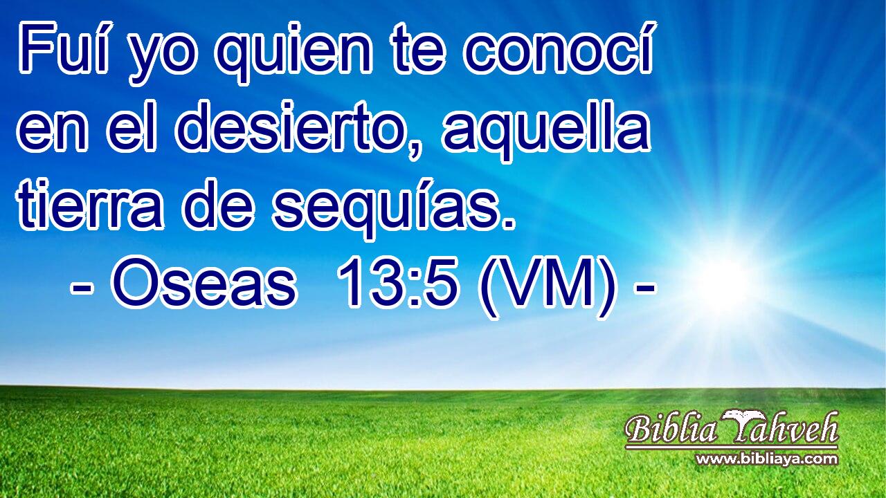  Fuí yo quien te conocí en el desierto, aquella tierra de sequías. 