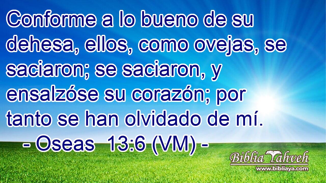  Conforme a lo bueno de su dehesa, ellos, como ovejas, se saciaron; se saciaron, y ensalzóse su corazón; por tanto se han olvidado de mí. 