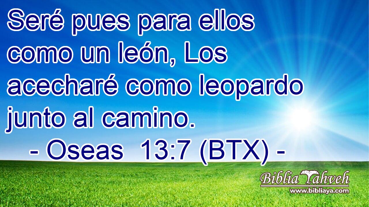 Seré pues para ellos como un león, Los acecharé como leopardo junto al camino.