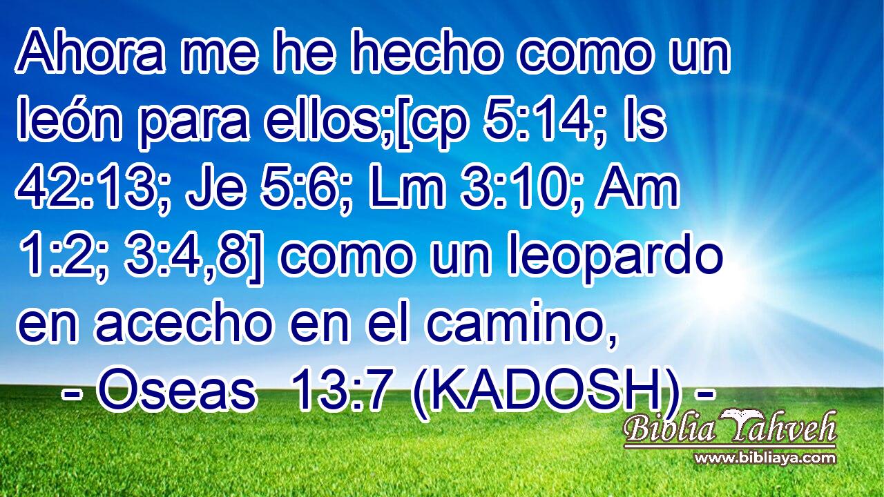  Ahora me he hecho como un león para ellos;[cp 5:14; Is 42:13; Je 5:6; Lm 3:10; Am 1:2; 3:4,8] como un leopardo en acecho en el camino, 