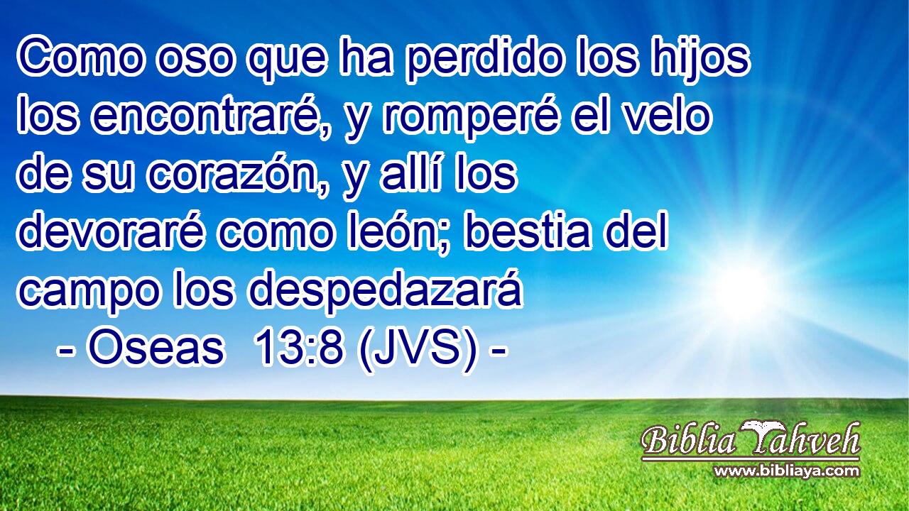 Como oso que ha perdido los hijos los encontraré, y romperé el velo de su corazón, y allí los devoraré como león; bestia del campo los despedazará