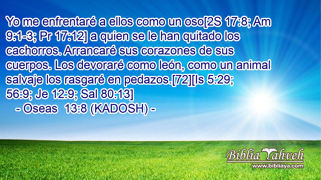  Yo me enfrentaré a ellos como un oso[2S 17:8; Am 9:1-3; Pr 17:12] a quien se le han quitado los cachorros. Arrancaré sus corazones de sus cuerpos. Los devoraré como león, como un animal salvaje los rasgaré en pedazos.[72][Is 5:29; 56:9; Je 12:9; Sal 80:13] 