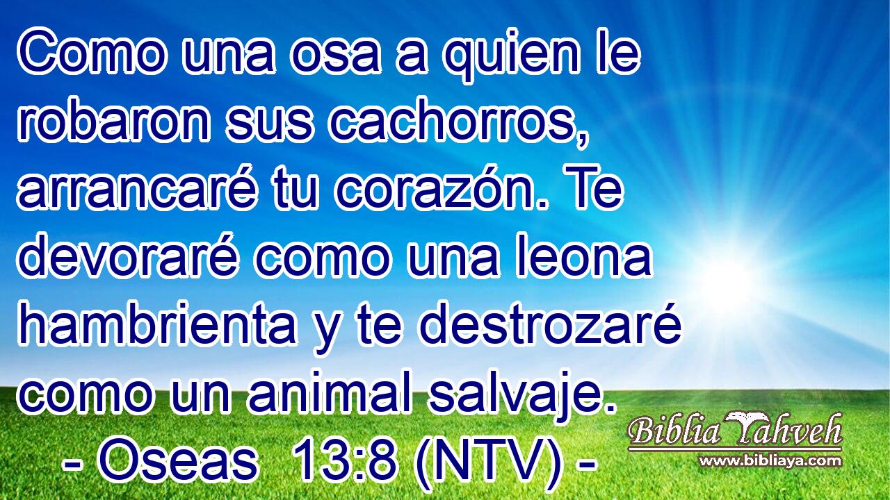 Como una osa a quien le robaron sus cachorros, arrancaré tu corazón. Te devoraré como una leona hambrienta y te destrozaré como un animal salvaje.