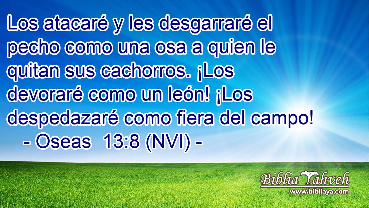  Los atacaré y les desgarraré el pecho como una osa a quien le quitan sus cachorros. ¡Los devoraré como un león! ¡Los despedazaré como fiera del campo! 