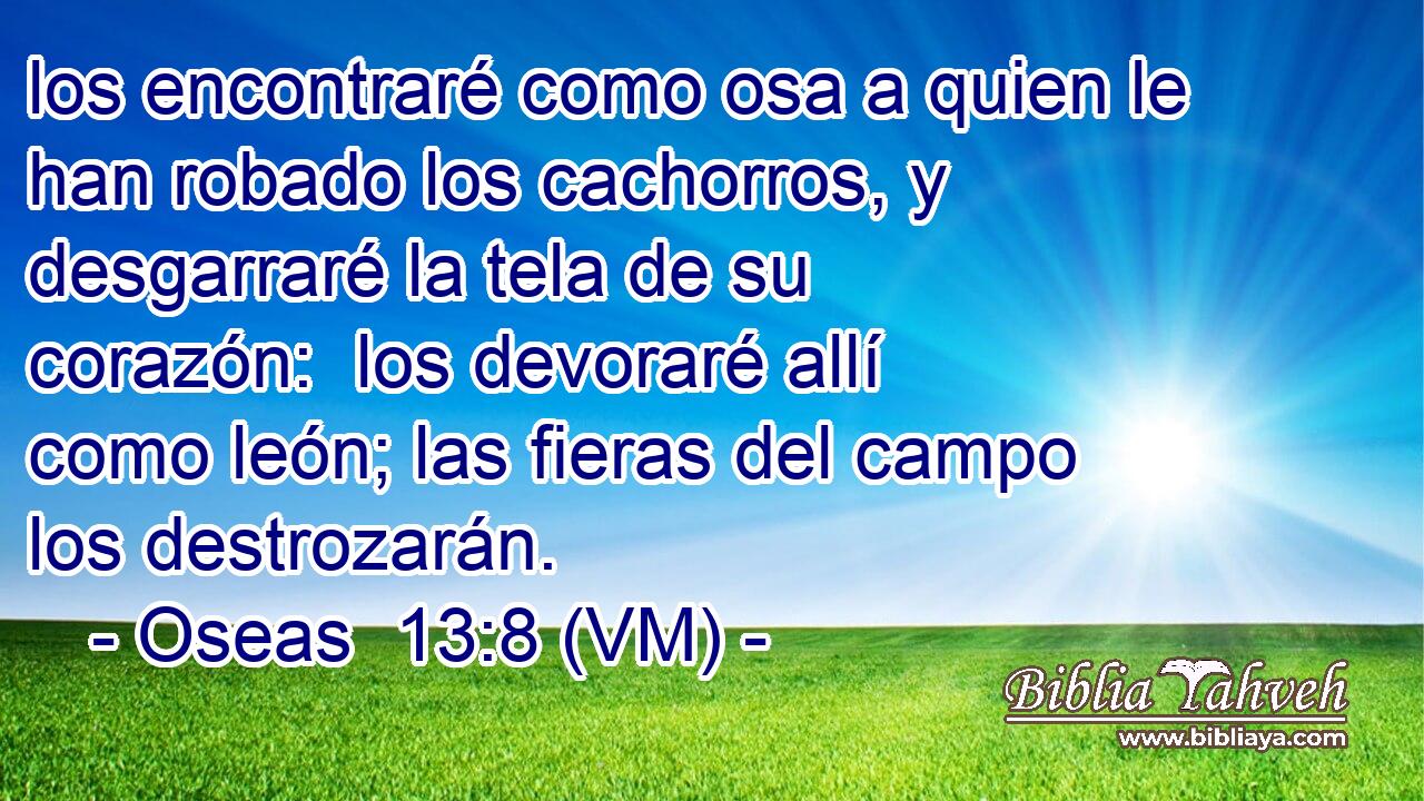  los encontraré como osa a quien le han robado los cachorros, y desgarraré la tela de su corazón:  los devoraré allí como león; las fieras del campo los destrozarán. 