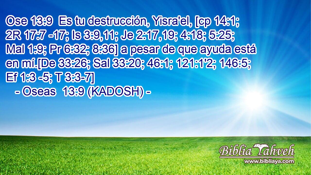  Es tu destrucción, Yisra'el, [cp 14:1; 2R 17:7 -17; Is 3:9,11; Je 2:17,19; 4:18; 5:25; Mal 1:9; Pr 6:32; 8:36] a pesar de que ayuda está en mí.[De 33:26; Sal 33:20; 46:1; 121:1'2; 146:5; Ef 1:3 -5; T 3:3-7] 