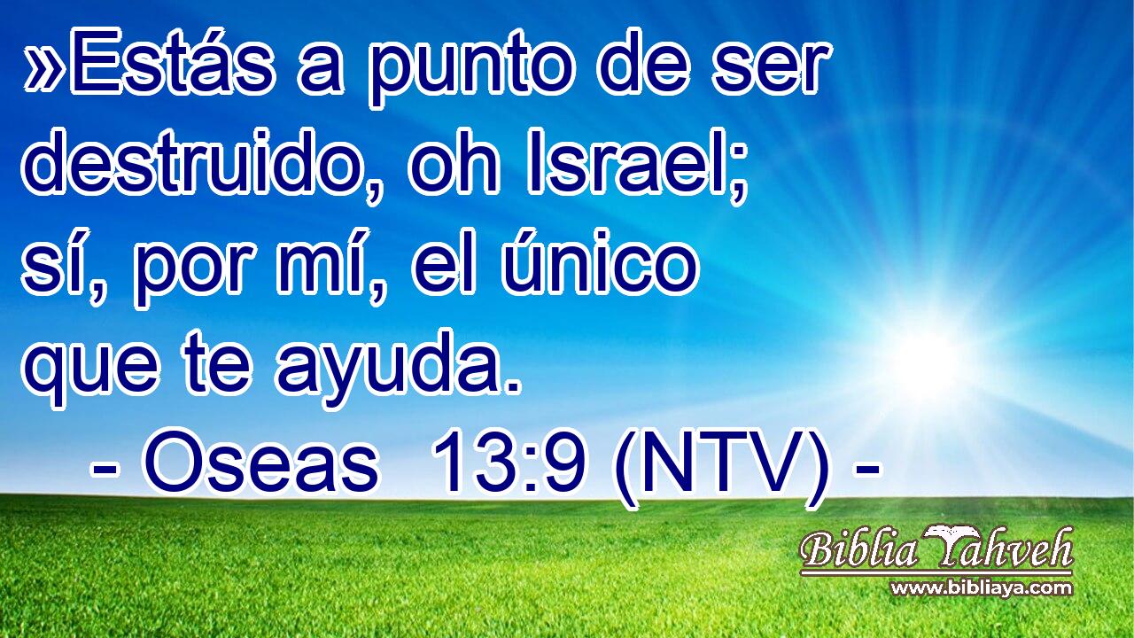 »Estás a punto de ser destruido, oh Israel; sí, por mí, el único que te ayuda.