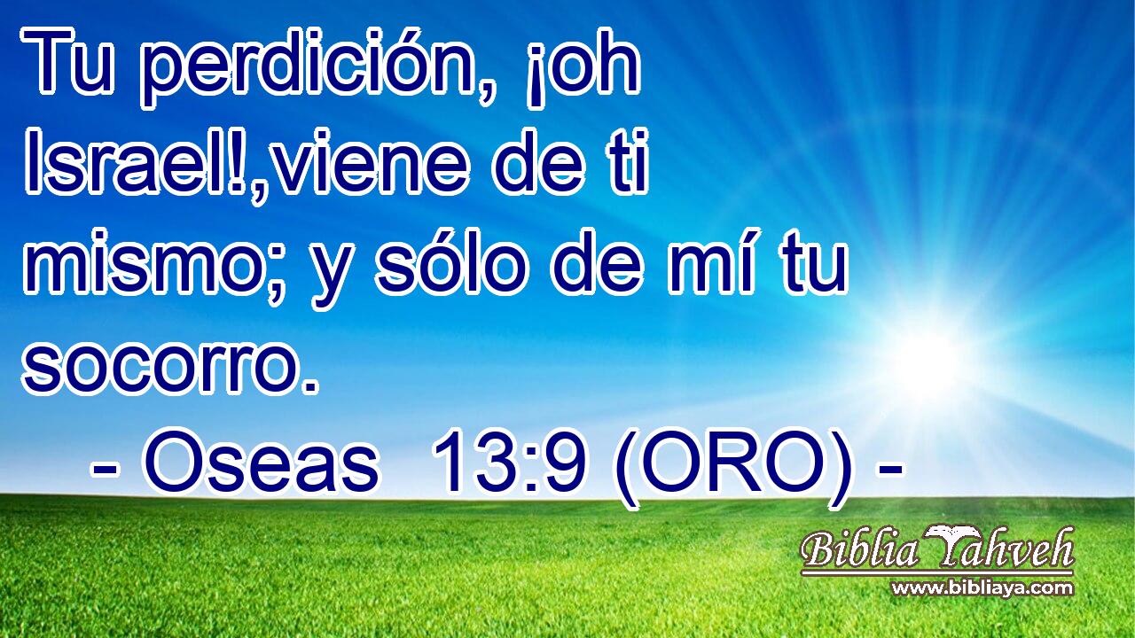  Tu perdición, ¡oh Israel!,viene de ti mismo; y sólo de mí tu socorro. 