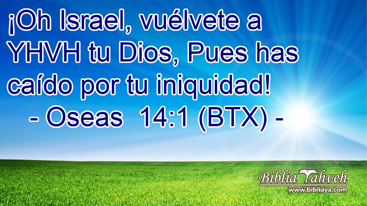 ¡Oh Israel, vuélvete a YHVH tu Dios, Pues has caído por tu iniquidad!