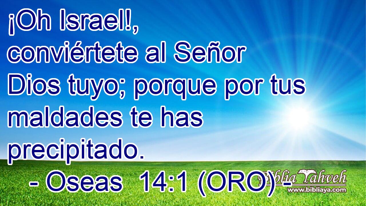  ¡Oh Israel!, conviértete al Señor Dios tuyo; porque por tus maldades te has precipitado. 