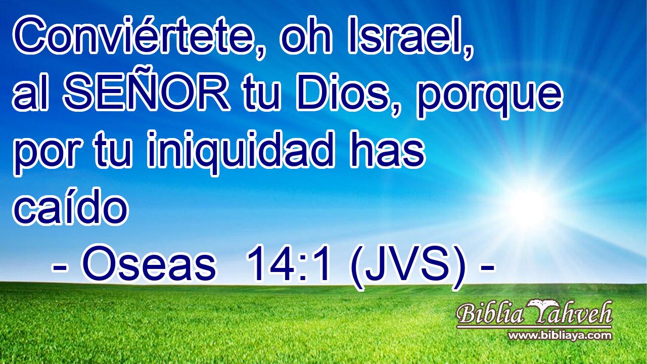 Conviértete, oh Israel, al SEÑOR tu Dios, porque por tu iniquidad has caído