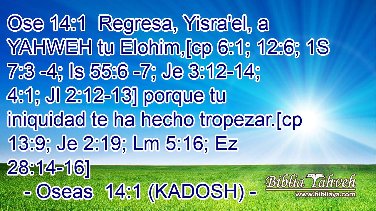  Regresa, Yisra'el, a YAHWEH tu Elohim,[cp 6:1; 12:6; 1S 7:3 -4; Is 55:6 -7; Je 3:12-14; 4:1; Jl 2:12-13] porque tu iniquidad te ha hecho tropezar.[cp 13:9; Je 2:19; Lm 5:16; Ez 28:14-16] 