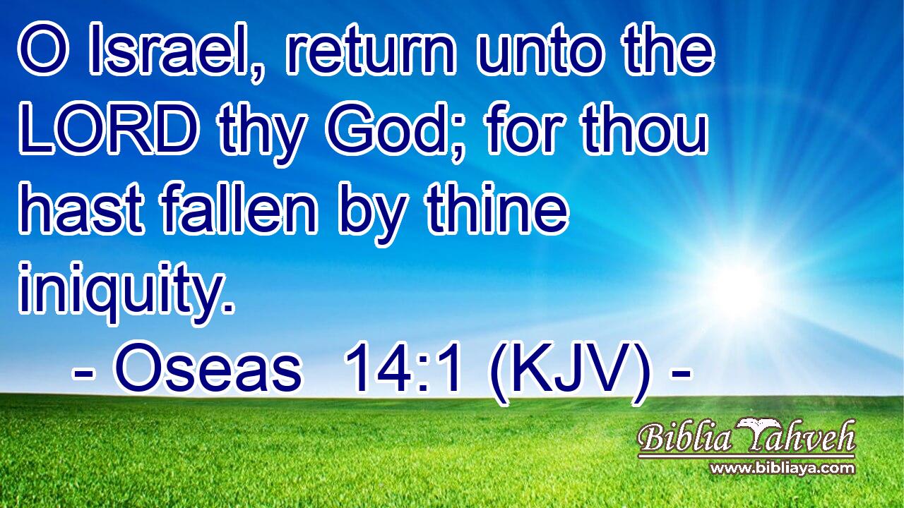 O Israel, return unto the LORD thy God; for thou hast fallen by thine iniquity.