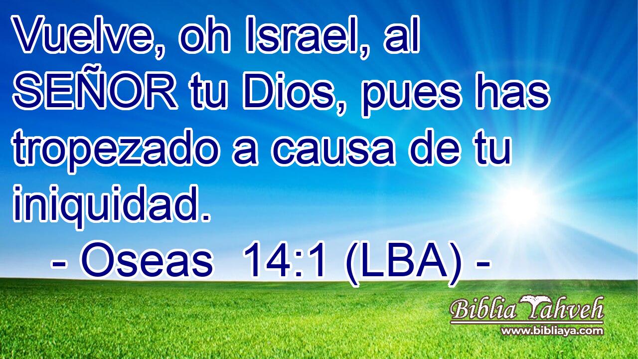 Vuelve, oh Israel, al SEÑOR tu Dios, pues has tropezado a causa de tu iniquidad.