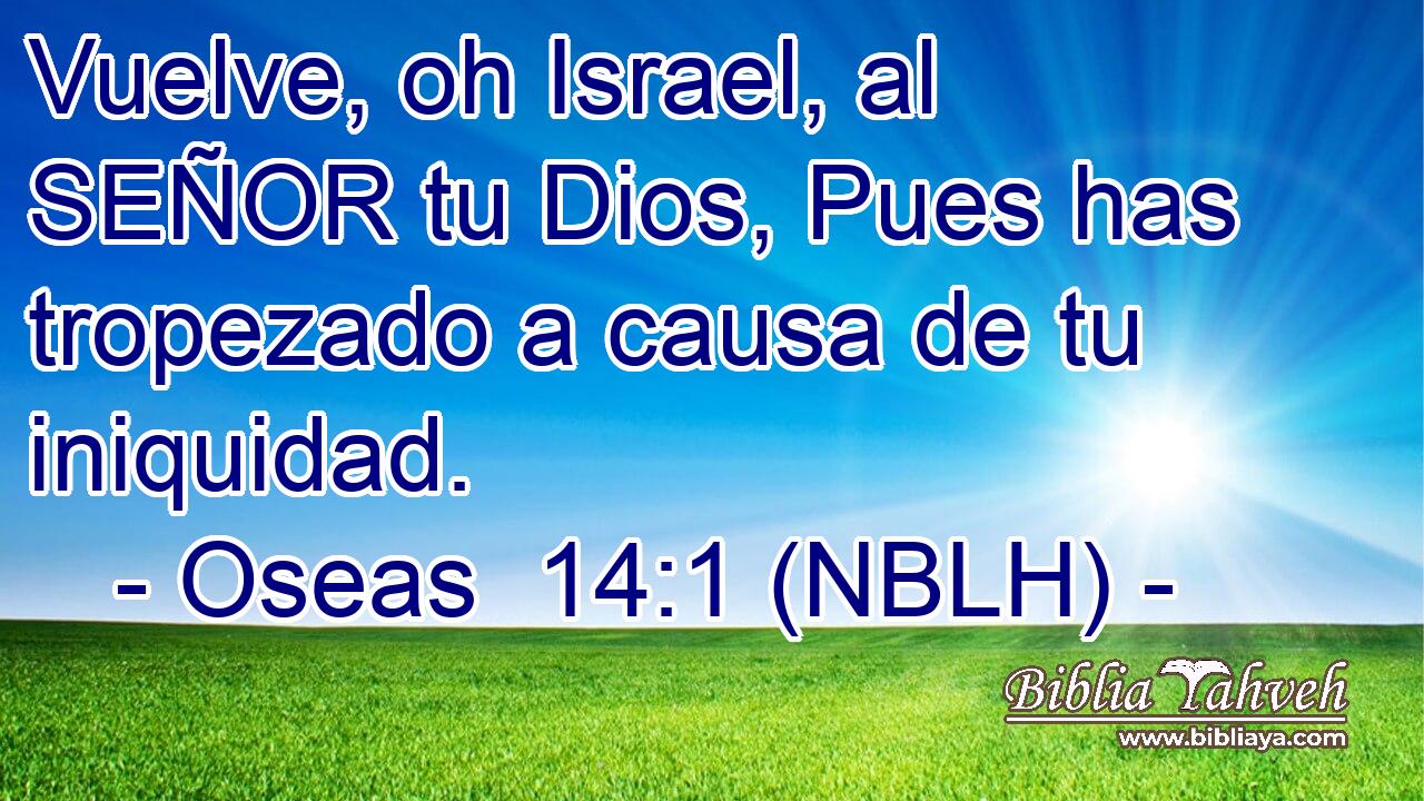  Vuelve, oh Israel, al SEÑOR tu Dios, Pues has tropezado a causa de tu iniquidad. 