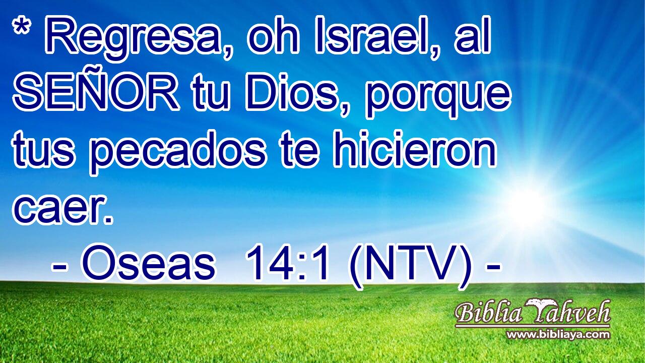 * Regresa, oh Israel, al SEÑOR tu Dios, porque tus pecados te hicieron caer.