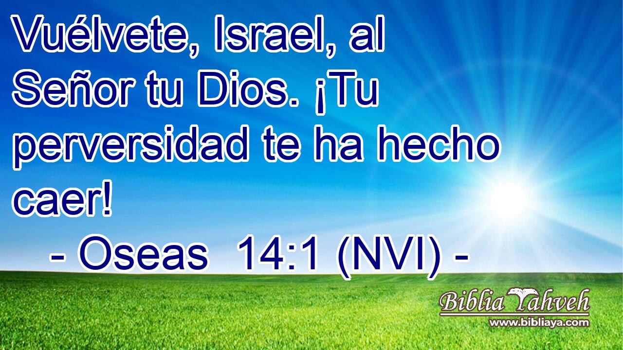  Vuélvete, Israel, al Señor tu Dios. ¡Tu perversidad te ha hecho caer! 