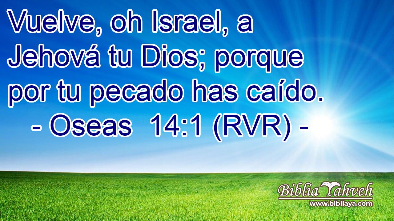 Vuelve, oh Israel, a Jehová tu Dios; porque por tu pecado has caído.