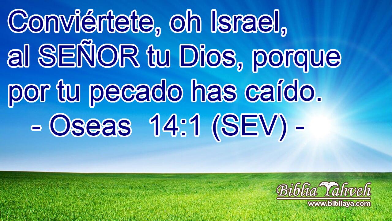 Conviértete, oh Israel, al SEÑOR tu Dios, porque por tu pecado has caído.