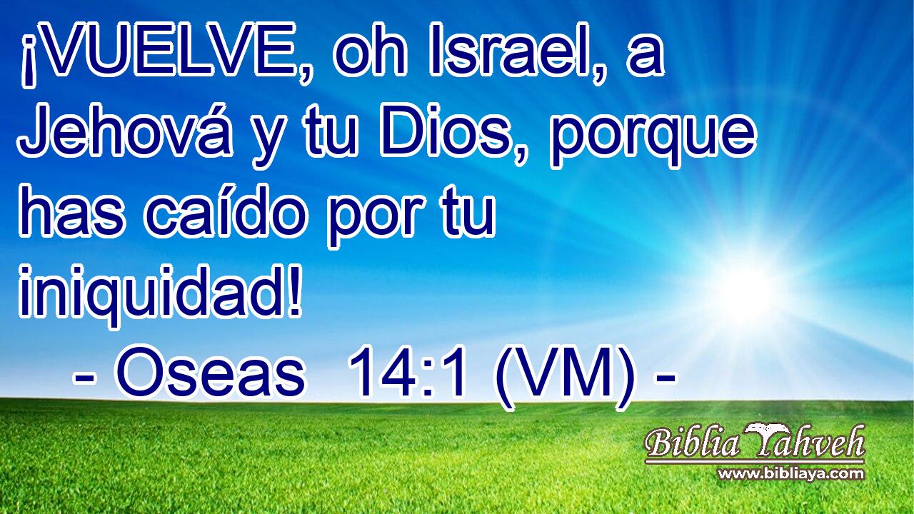  ¡VUELVE, oh Israel, a Jehová y tu Dios, porque has caído por tu iniquidad! 