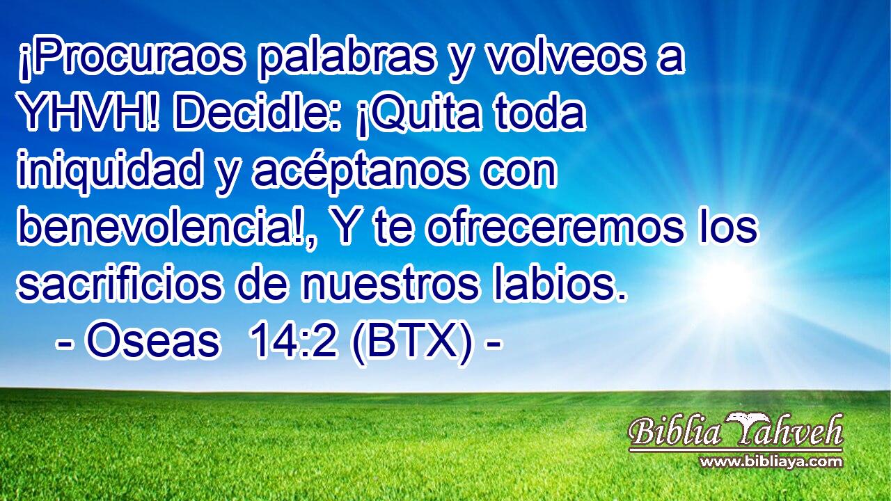 ¡Procuraos palabras y volveos a YHVH! Decidle: ¡Quita toda iniquidad y acéptanos con benevolencia!, Y te ofreceremos los sacrificios de nuestros labios.