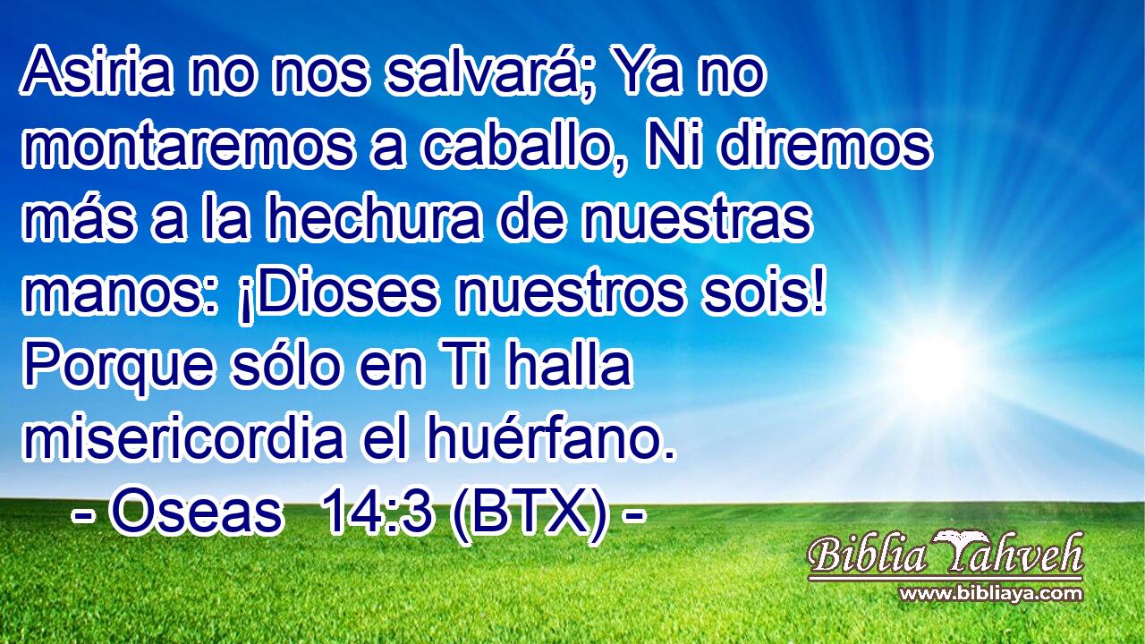 Asiria no nos salvará; Ya no montaremos a caballo, Ni diremos más a la hechura de nuestras manos: ¡Dioses nuestros sois! Porque sólo en Ti halla misericordia el huérfano.