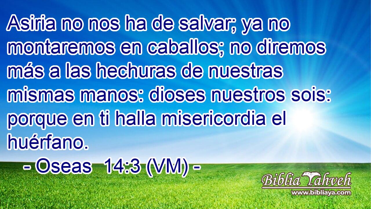  Asiria no nos ha de salvar; ya no montaremos en caballos; no diremos más a las hechuras de nuestras mismas manos: dioses nuestros sois: porque en ti halla misericordia el huérfano. 