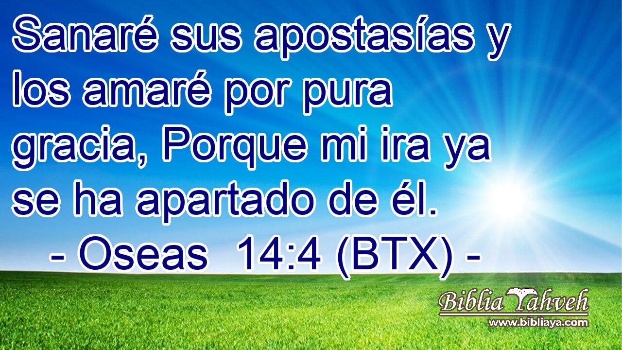 Sanaré sus apostasías y los amaré por pura gracia, Porque mi ira ya se ha apartado de él.