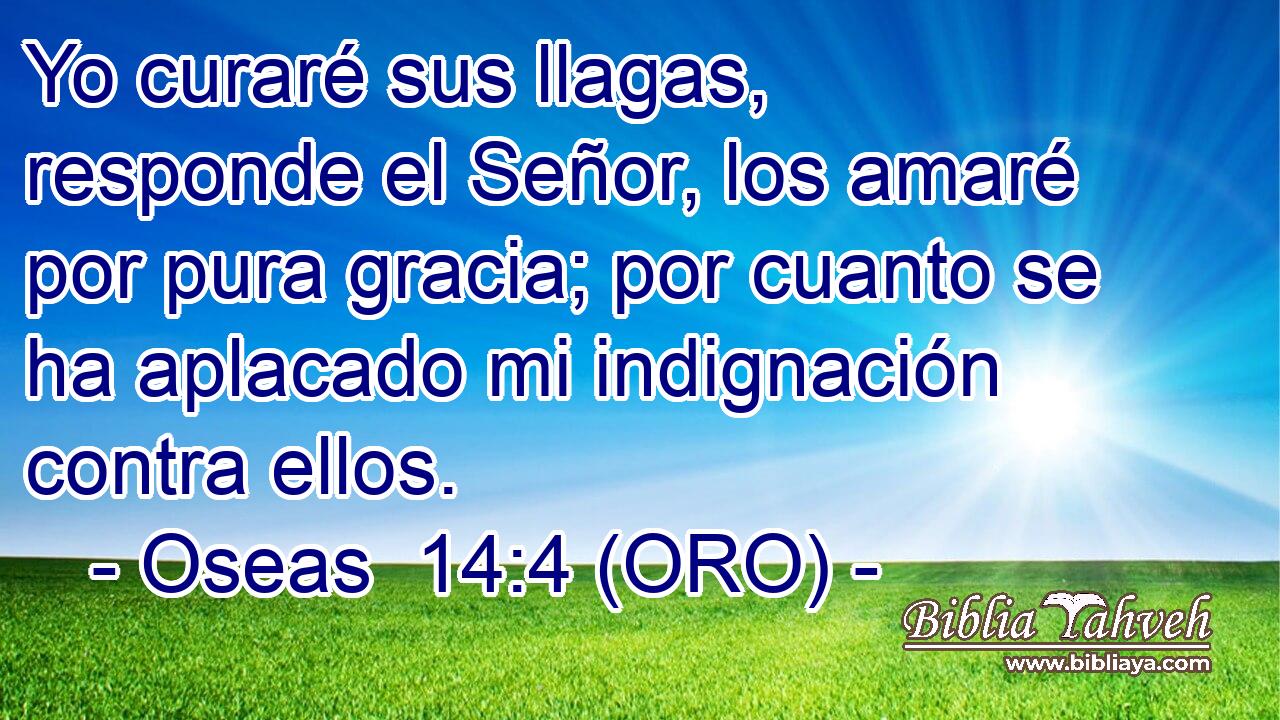  Yo curaré sus llagas, responde el Señor, los amaré por pura gracia; por cuanto se ha aplacado mi indignación contra ellos. 