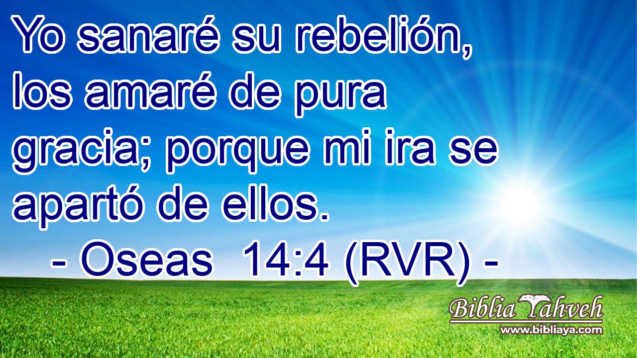 Yo sanaré su rebelión, los amaré de pura gracia; porque mi ira se apartó de ellos.