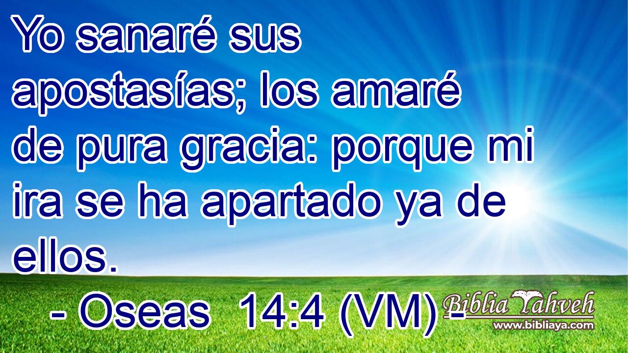  Yo sanaré sus apostasías; los amaré de pura gracia: porque mi ira se ha apartado ya de ellos. 