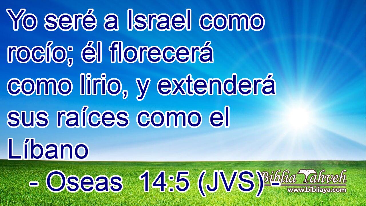 Yo seré a Israel como rocío; él florecerá como lirio, y extenderá sus raíces como el Líbano