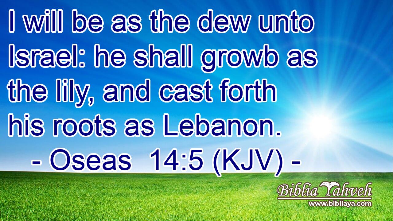 I will be as the dew unto Israel: he shall growb as the lily, and cast forth his roots as Lebanon.