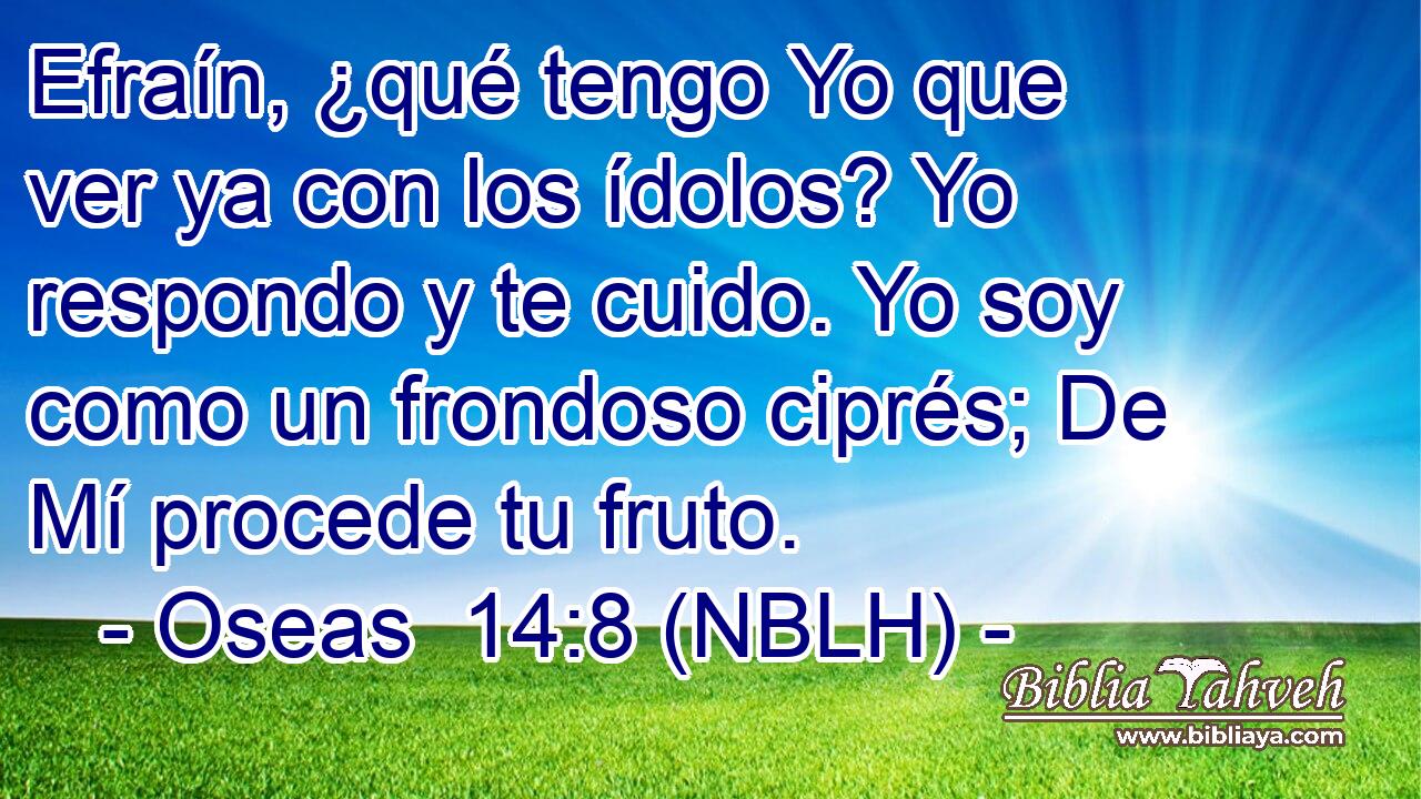  Efraín, ¿qué tengo Yo que ver ya con los ídolos? Yo respondo y te cuido. Yo soy como un frondoso ciprés; De Mí procede tu fruto. 