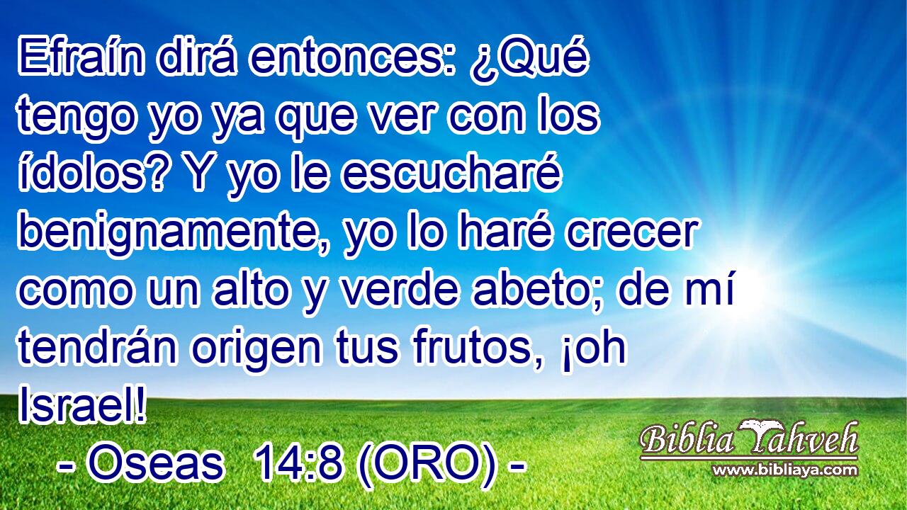  Efraín dirá entonces: ¿Qué tengo yo ya que ver con los ídolos? Y yo le escucharé benignamente, yo lo haré crecer como un alto y verde abeto; de mí tendrán origen tus frutos, ¡oh Israel! 