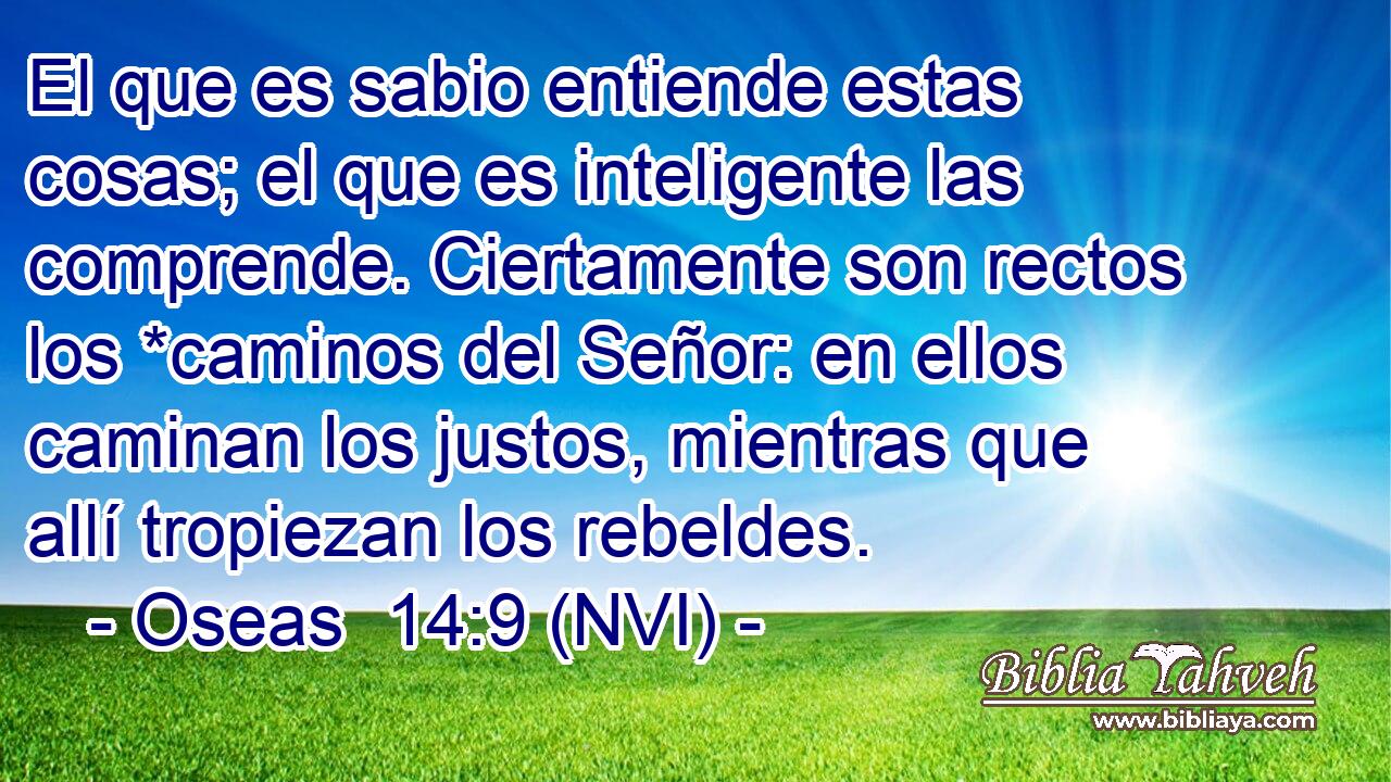  El que es sabio entiende estas cosas; el que es inteligente las comprende. Ciertamente son rectos los *caminos del Señor: en ellos caminan los justos, mientras que allí tropiezan los rebeldes. 