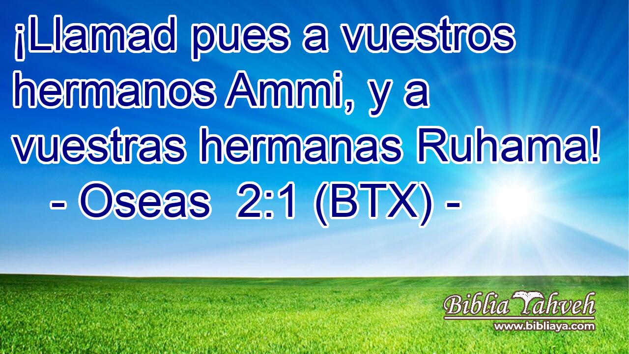 ¡Llamad pues a vuestros hermanos Ammi, y a vuestras hermanas Ruhama!
