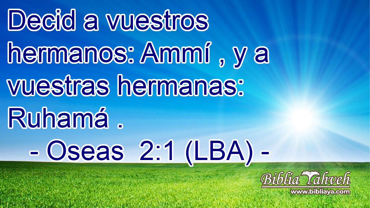 Decid a vuestros hermanos: Ammí , y a vuestras hermanas: Ruhamá .