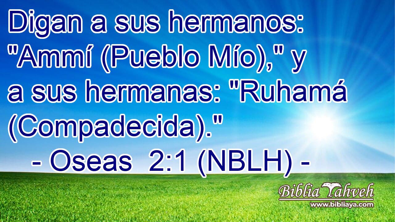  Digan a sus hermanos: 