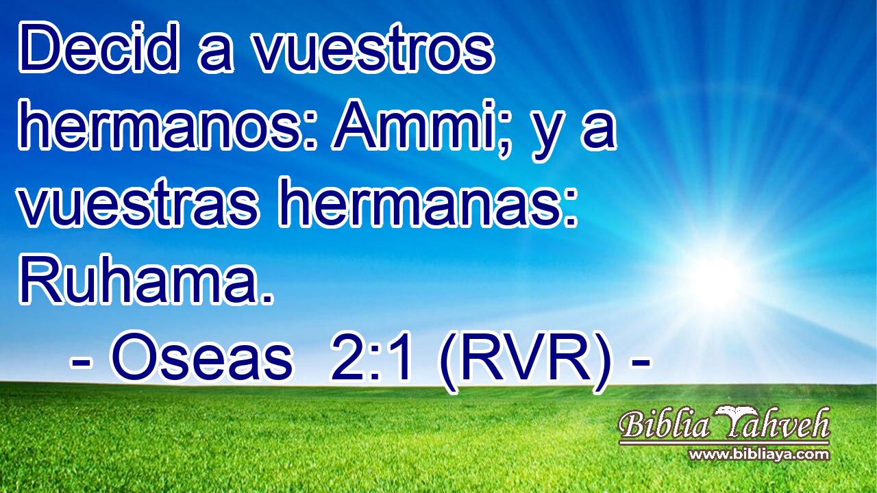Decid a vuestros hermanos: Ammi; y a vuestras hermanas: Ruhama.