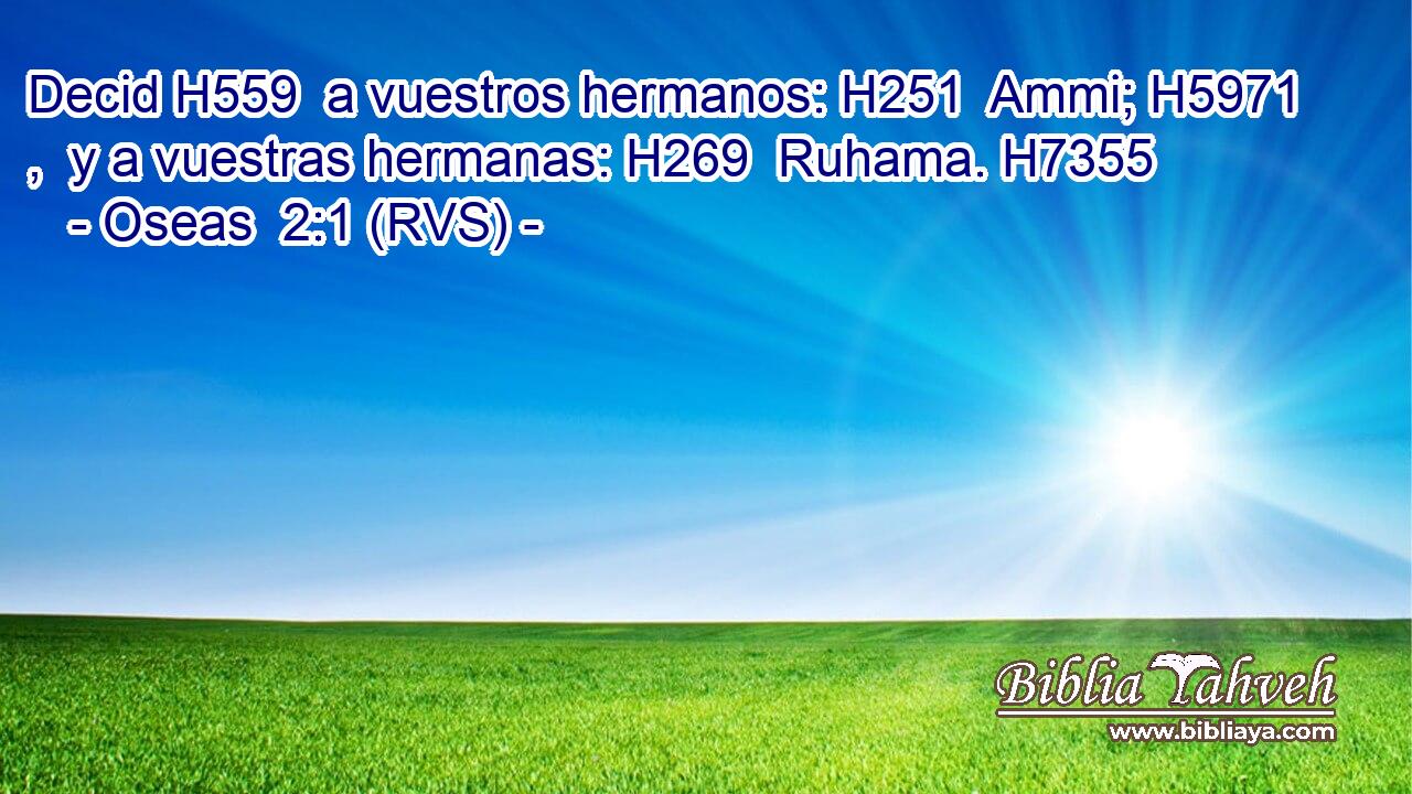 Decid H559  a vuestros hermanos: H251  Ammi; H5971 ,  y a vuestras hermanas: H269  Ruhama. H7355  