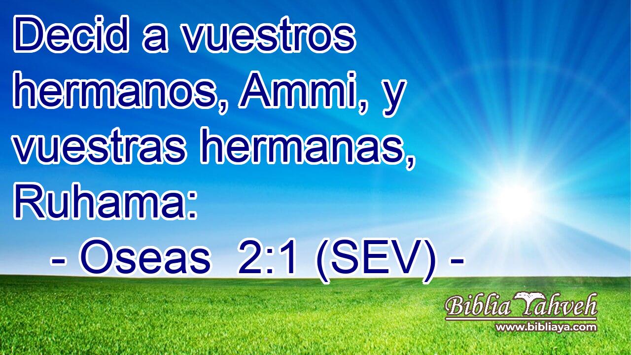 Decid a vuestros hermanos, Ammi, y vuestras hermanas, Ruhama: