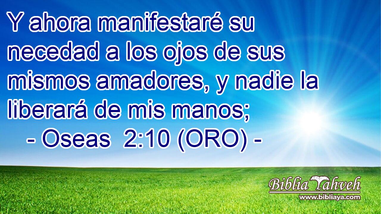  Y ahora manifestaré su necedad a los ojos de sus mismos amadores, y nadie la liberará de mis manos; 